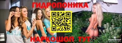 СК Гатчина