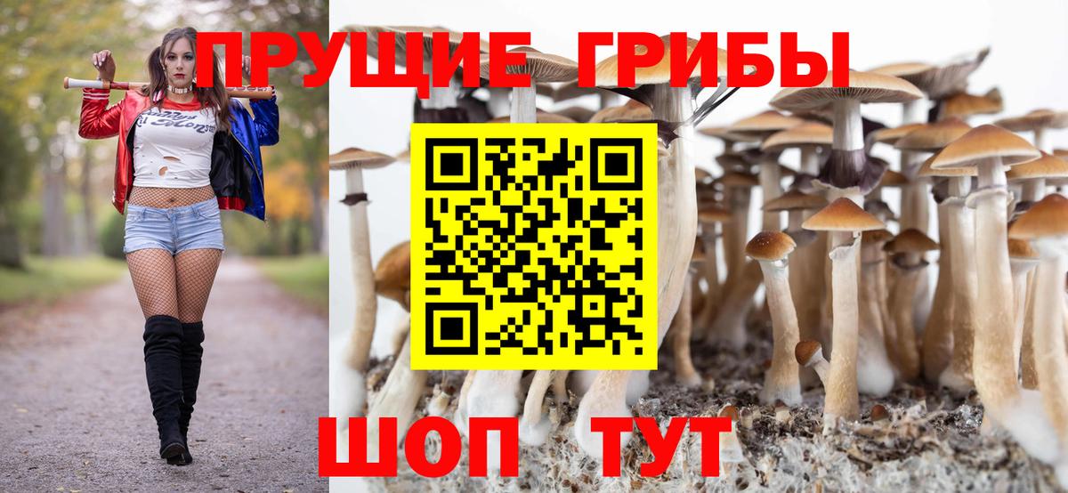 даркнет сайт  Псилоцибиновые грибы ЛСД  Вход с VPN  Казань 