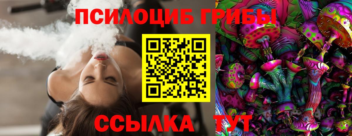 Псилоцибиновые грибы мухоморы Казань